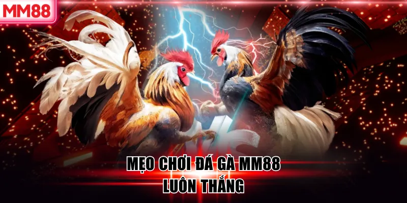 Mẹo chơi đá gà MM88 luôn thắng