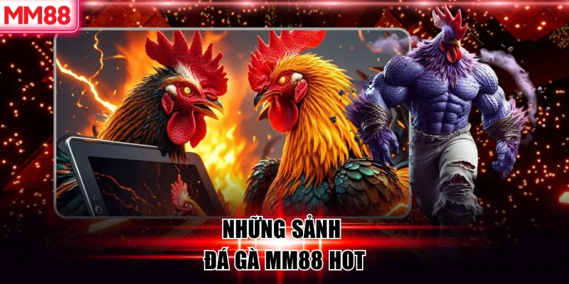 Những sảnh đá gà MM88 hot